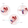 Эрекционное кольцо с вибрацией и пультом SVAKOM WINNI VIOLET SRING-02 W